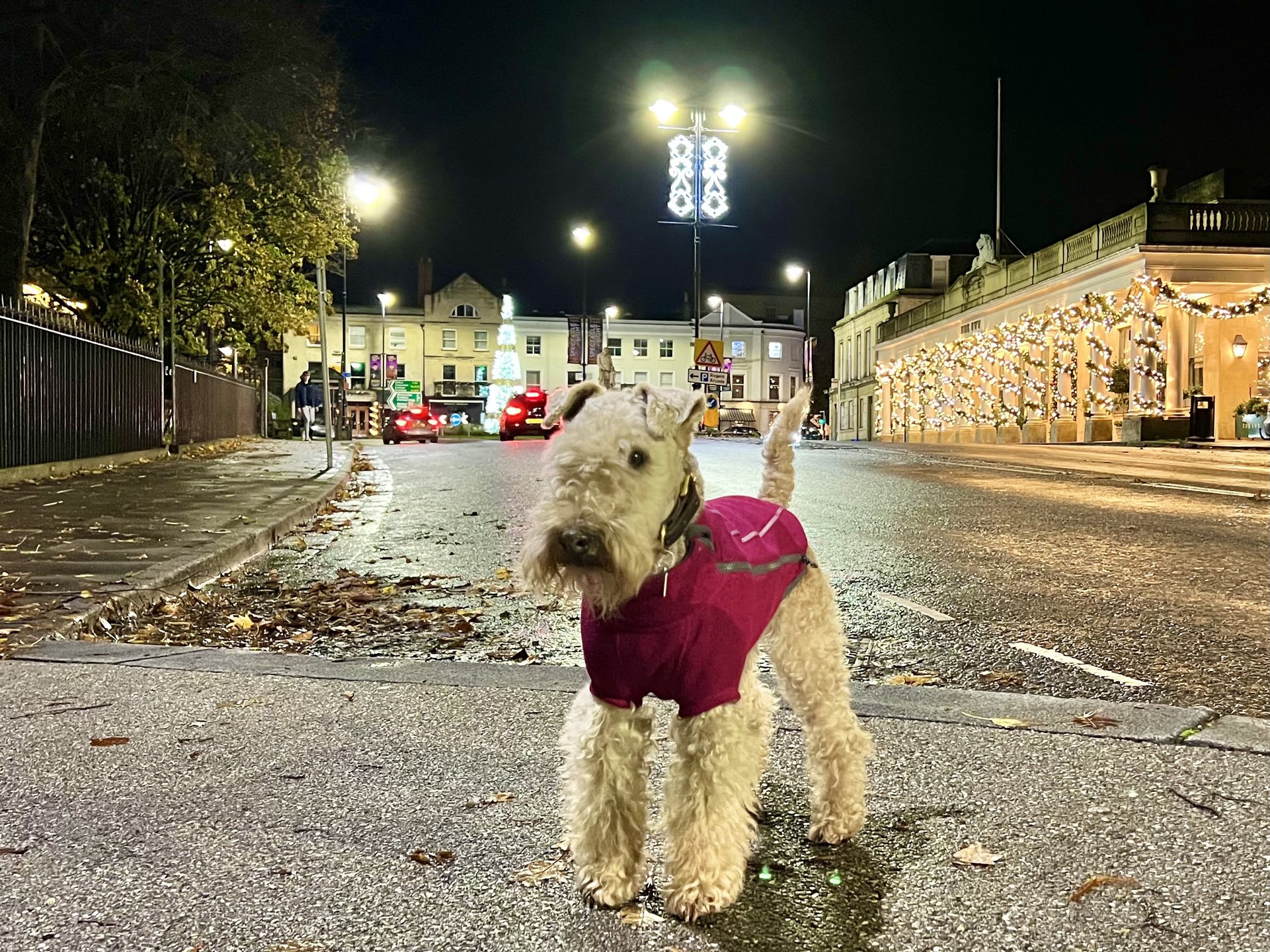 Bertie Lakeland on Twitter "The Christmas Lights are on in