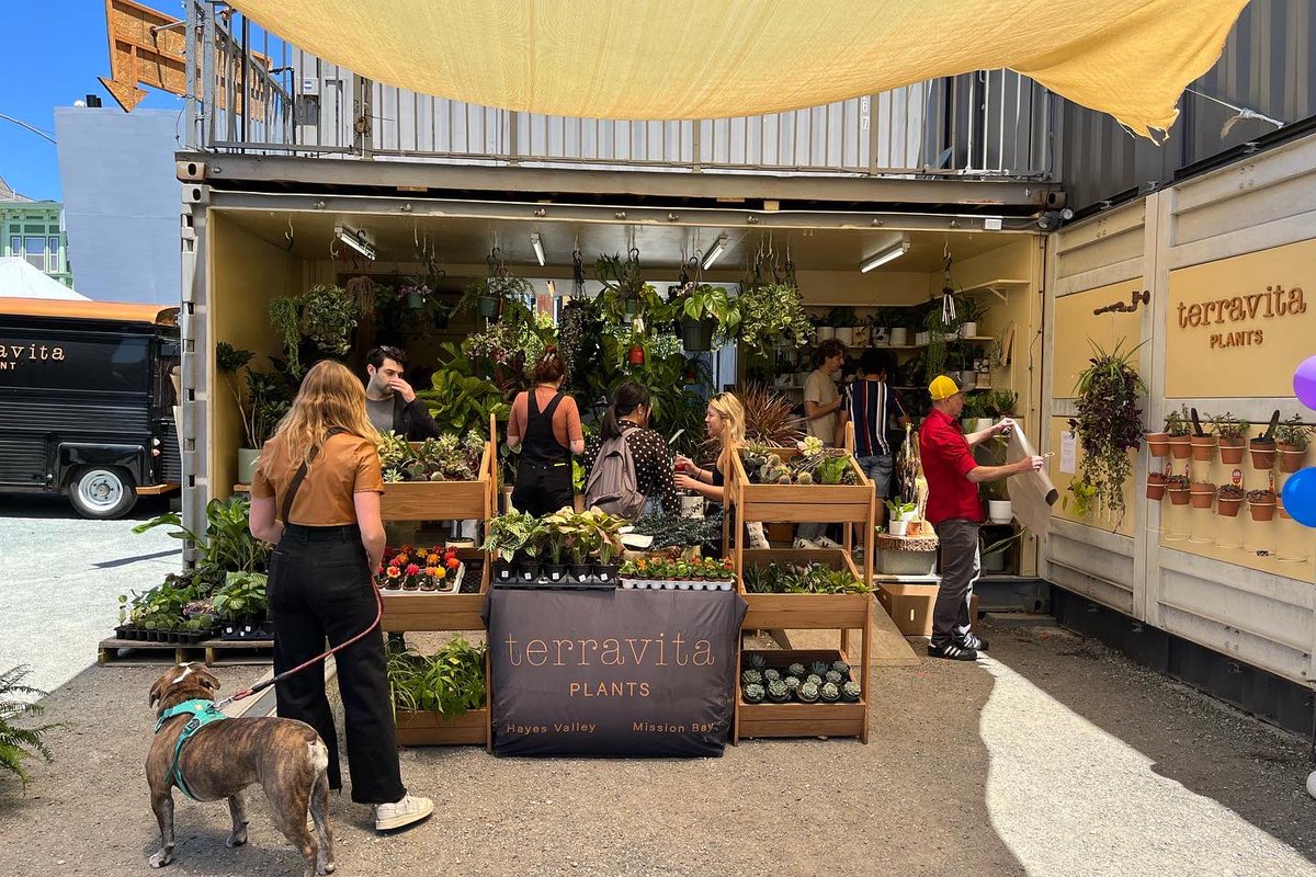 Don’t forget to #shopsmall this Saturday at PROXY and throughout Hayes Valley! From handmade ceramics, plants, and San Francisco themed gifts, to activewear or even gift cards, you can find something for everyone (or just yourself!) #SanFrancisco #hayesvalleysf <a href="/HayesValleySF/">Hayes Valley SF</a>