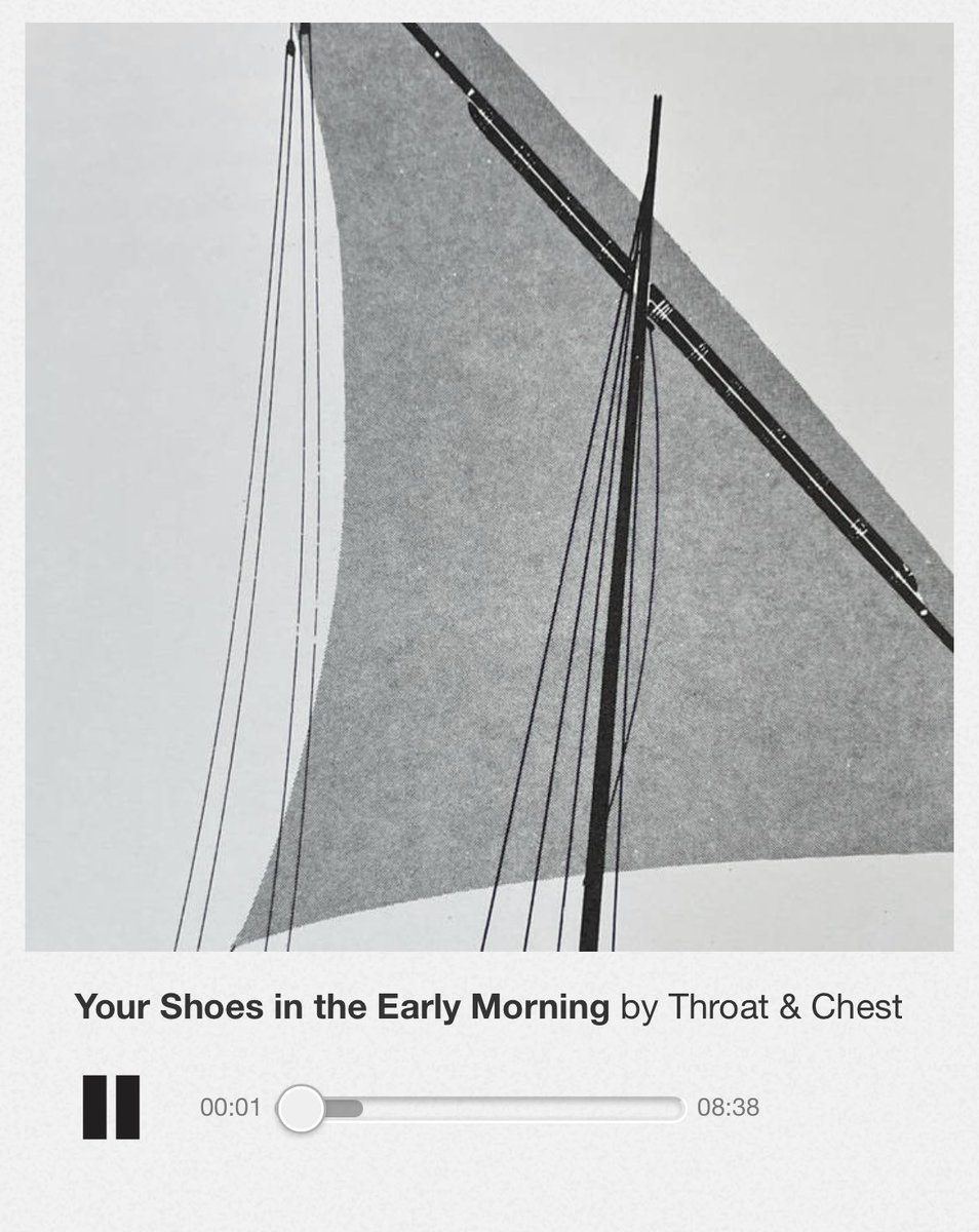 Your Shoes in the Early Morning. 

throatchest.bandcamp.com/track/your-sho…