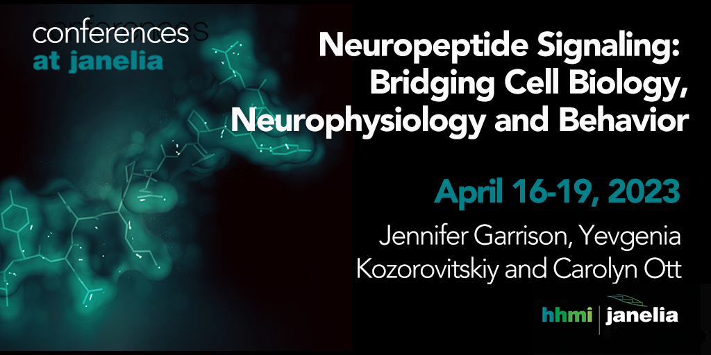 Janelia Conferences (@janeliaconf) on Twitter photo Apply by Jan 18 for this <a href="/HHMIJanelia/">HHMI | Janelia</a> conference on the role of #neuropeptides in physiology and behavior at the cellular and circuit levels in various organisms. What are the open questions and the tools/strategies needed to address them? bit.ly/NPS23 #NPConf2023 Apply by Jan 18 for this <a href="/HHMIJanelia/">HHMI | Janelia</a> conference on the role of #neuropeptides in physiology and behavior at the cellular and circuit levels in various organisms. What are the open questions and the tools/strategies needed to address them? bit.ly/NPS23 #NPConf2023