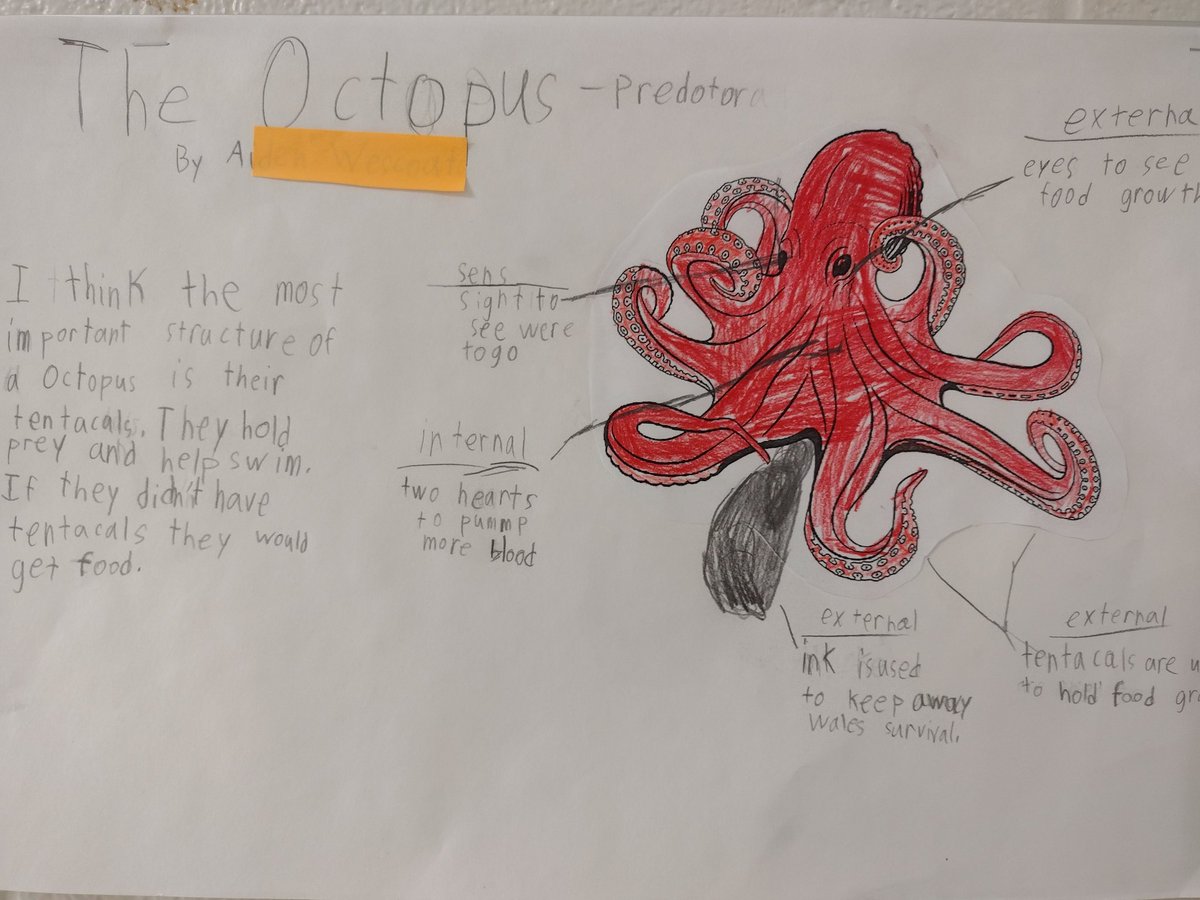 MrsBarker4's tweet photo. Researched the structure &amp; function of animals &amp; wrote our opinion of the most important structure #weareLR https://t.co/qjZvmAQzev