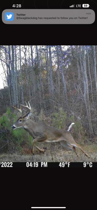 YALL!!!!! I got to my deer stand a big poppy was already down there. Fuck🥴🥴🥴 I couldn&rsquo;t even walk down