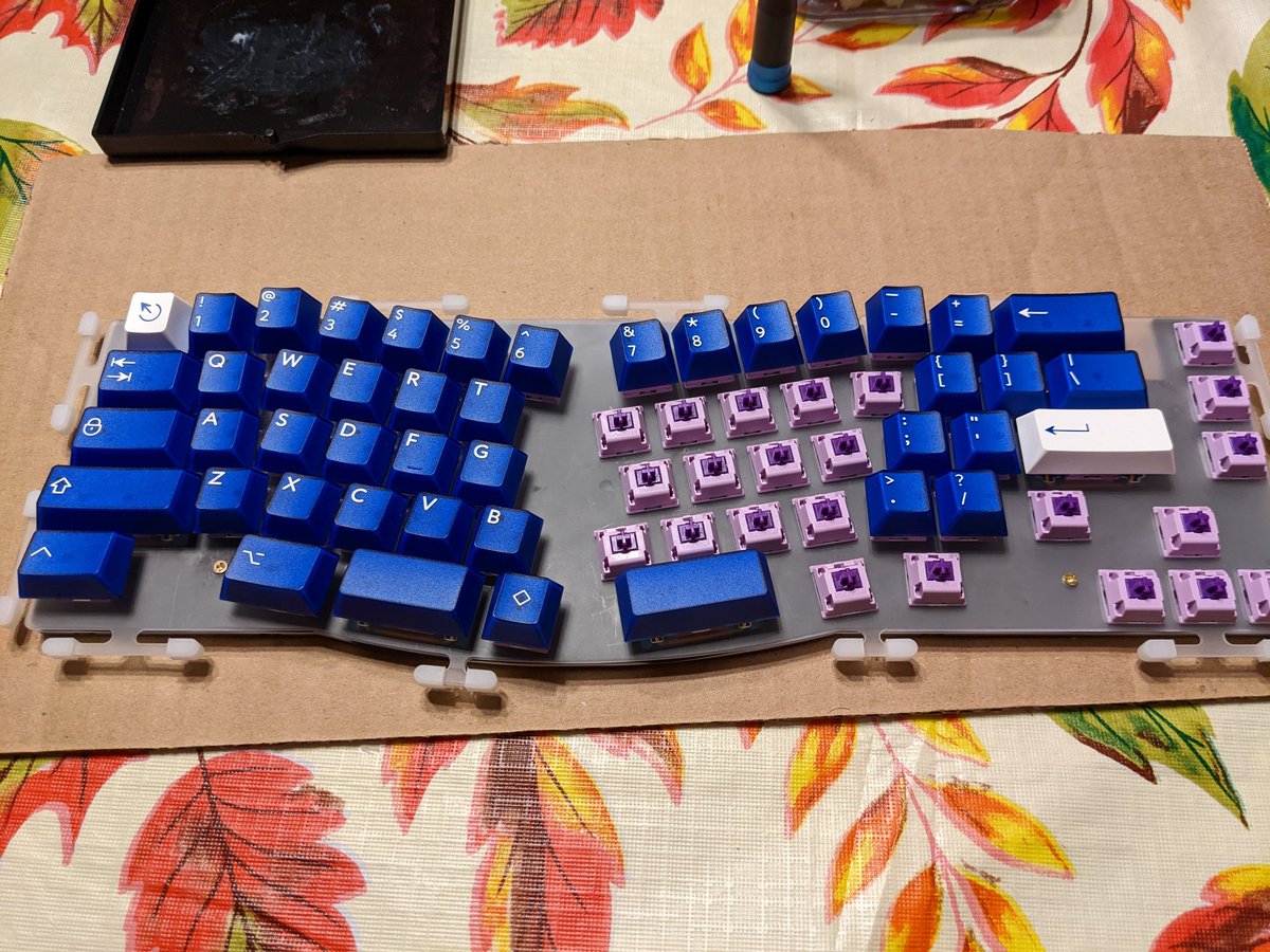 RGumti's tweet photo. New Keebs!
Board: Akko Alice
Switches: Gazzew Linear Thock
Keycaps: PBTFANS Klein Blue https://t.co/YWW8t8M168