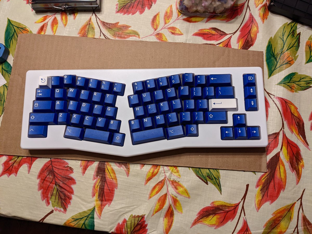 RGumti's tweet photo. New Keebs!
Board: Akko Alice
Switches: Gazzew Linear Thock
Keycaps: PBTFANS Klein Blue https://t.co/YWW8t8M168