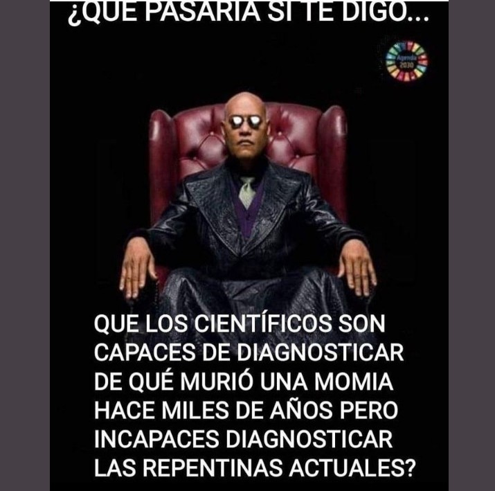 Mara11035's tweet photo. Que pregunta ! https://t.co/YjYyEqFcnf