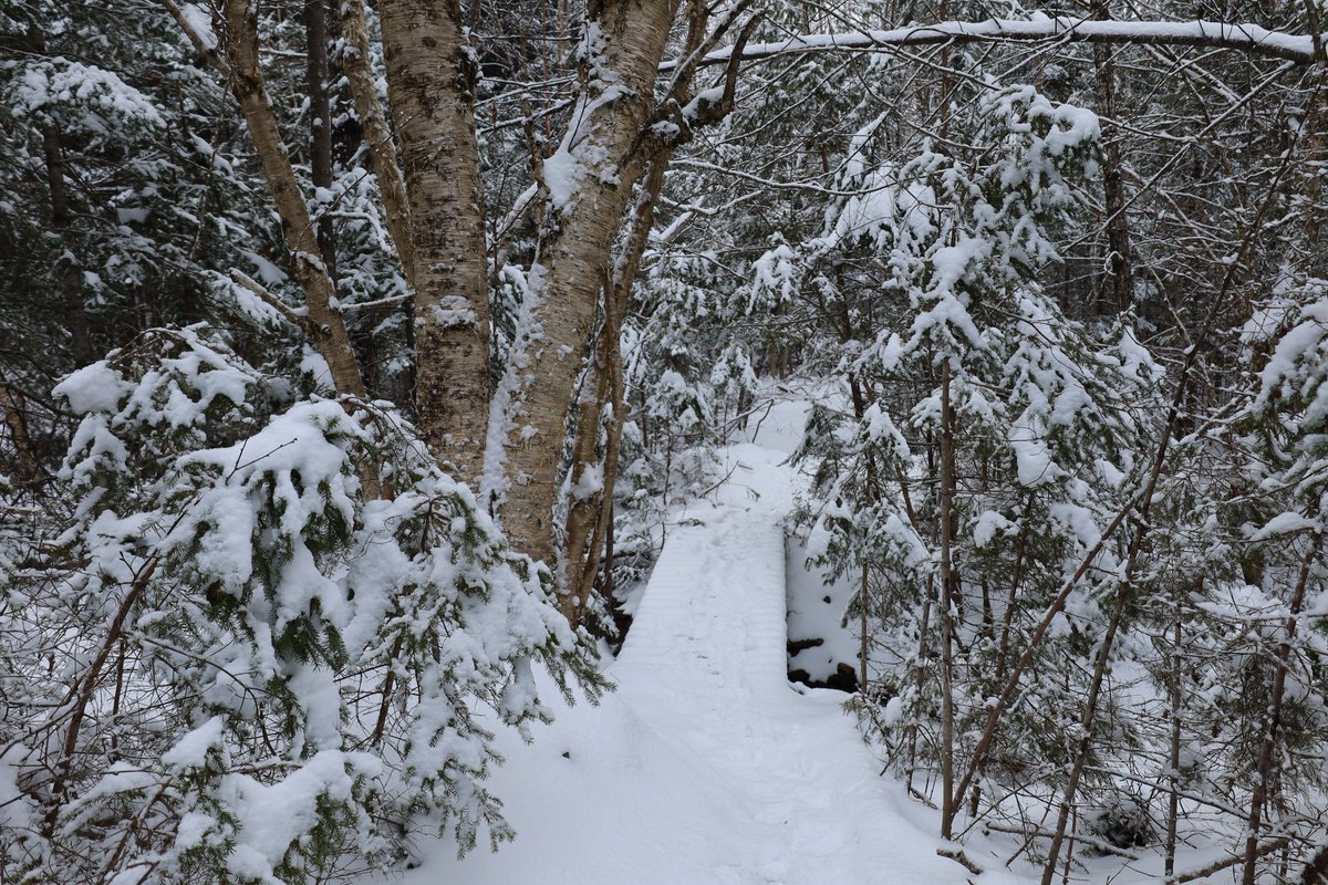 Meduxnekeag River (@meduxnekeag) on Twitter photo 