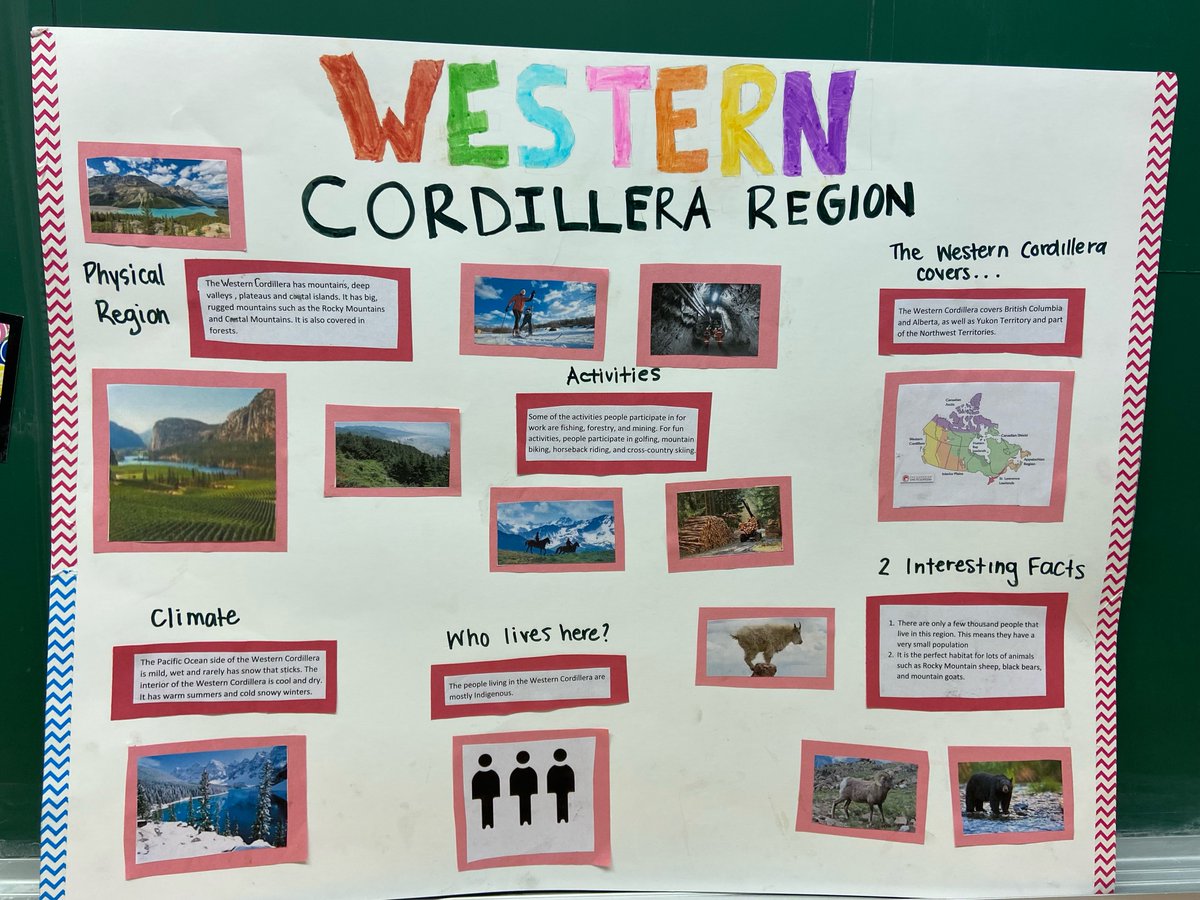 Diana Bilardo tweet media