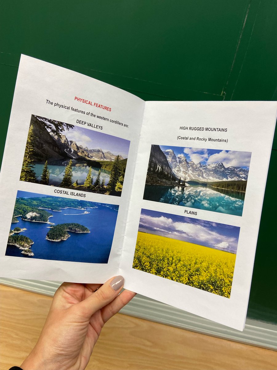 Diana Bilardo tweet media