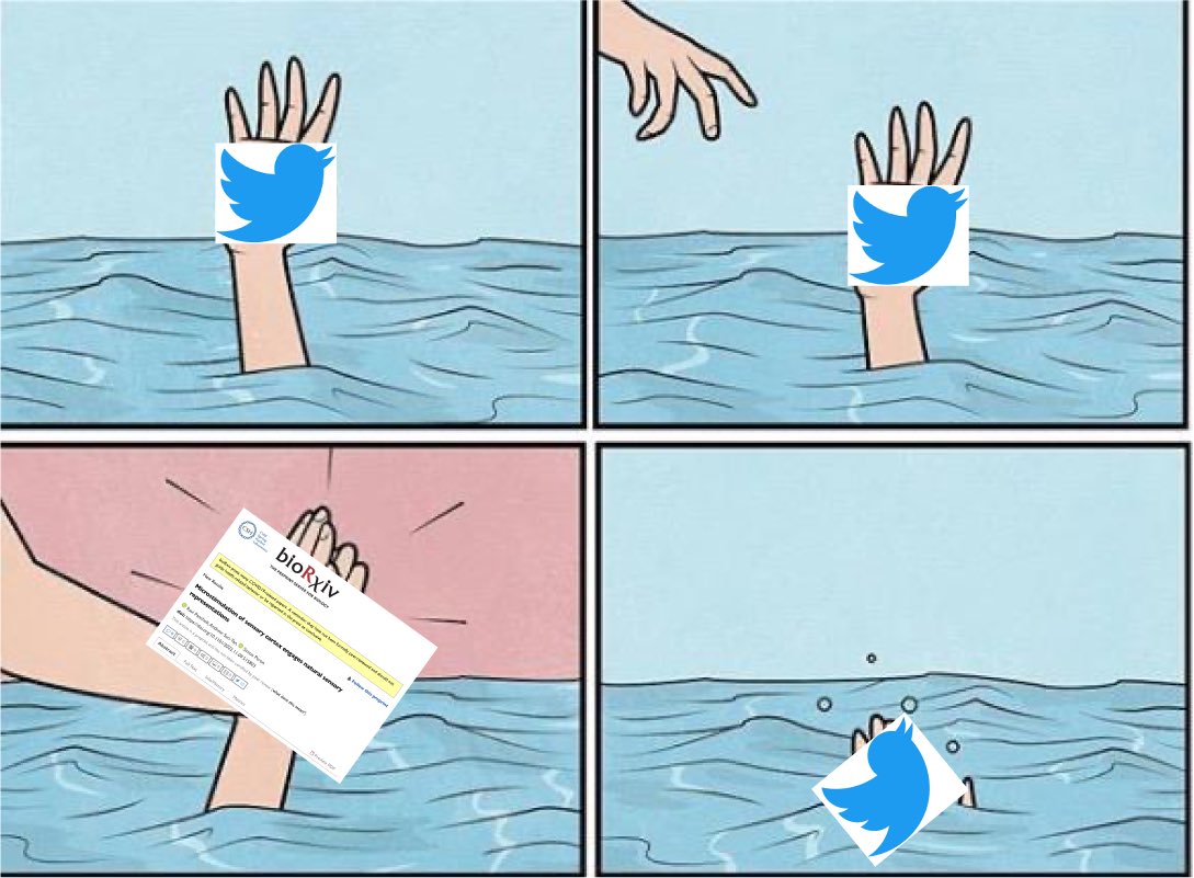 Ravi Pancholi tweet media