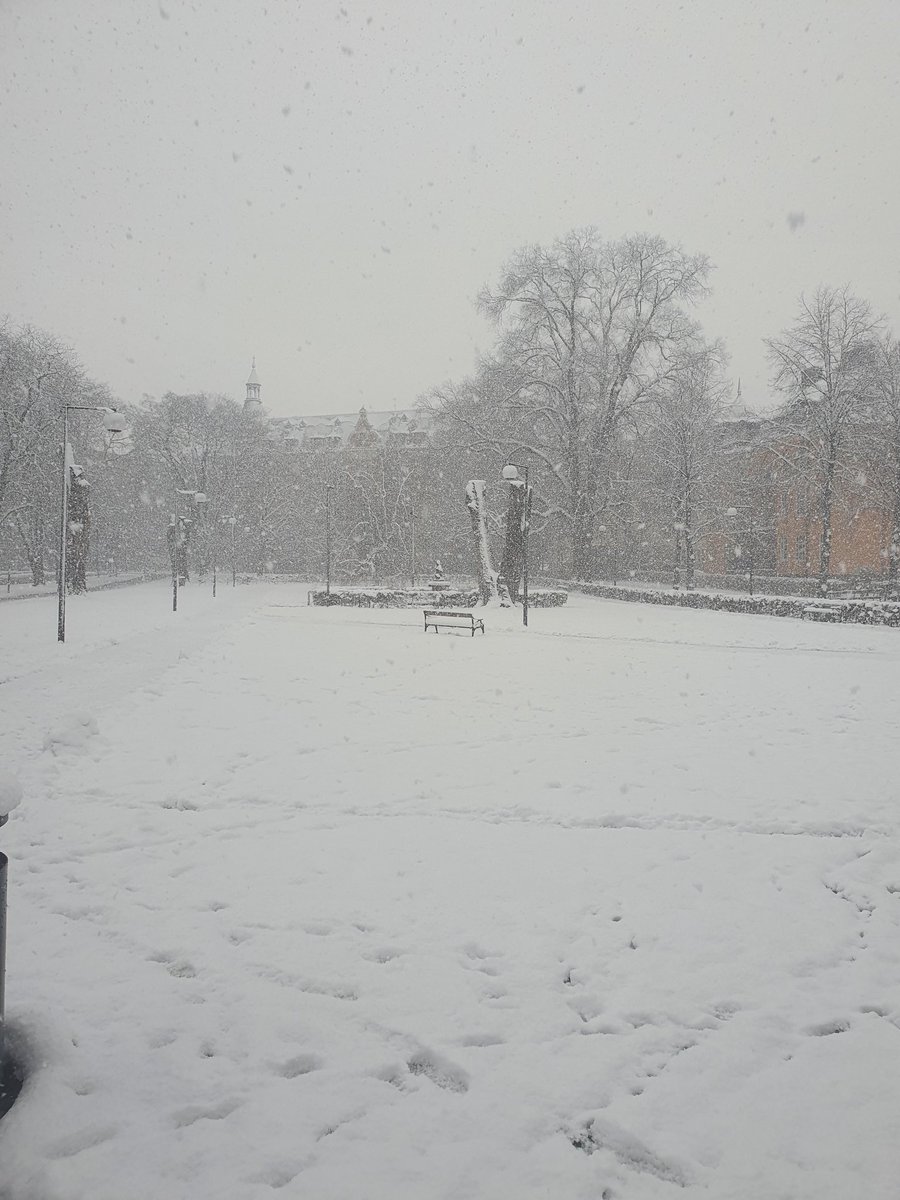 BlueBlue96yo's tweet image. Winter-time is really here ❄️