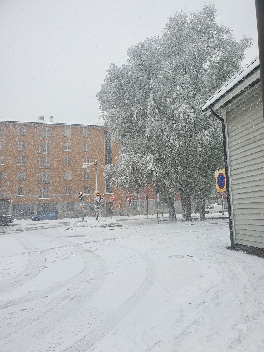 BlueBlue96yo's tweet image. Winter-time is really here ❄️