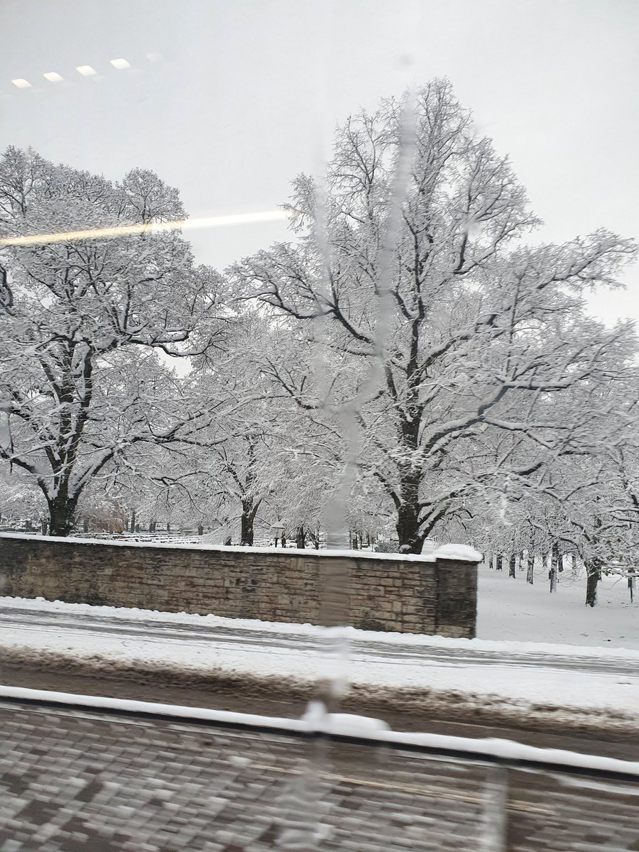 BlueBlue96yo's tweet image. Winter-time is really here ❄️