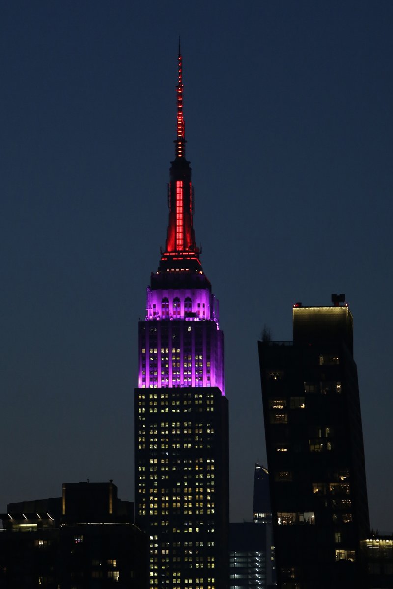 LupusResearch's tweet photo. Adding sparkle to the night, the @EmpireStateBldg is lighting up the NYC skyline in purple and red in honor of the Lupus Research Alliance #BreakingThroughGala to support lupus research! ✨ https://t.co/YYULQbSGM5
