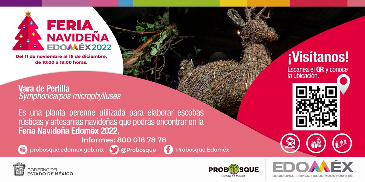 Probosque_'s tweet image. La #VaraDePerllia es un arbusto, con el cual, a través de un permiso de #ManejoForestal No Maderable, puede ser utilizado para la elaboración de artesanías, mismas que podrás encontrar en nuestra #FeriaNavideñaEdoméx2022.

@CampoEdomex