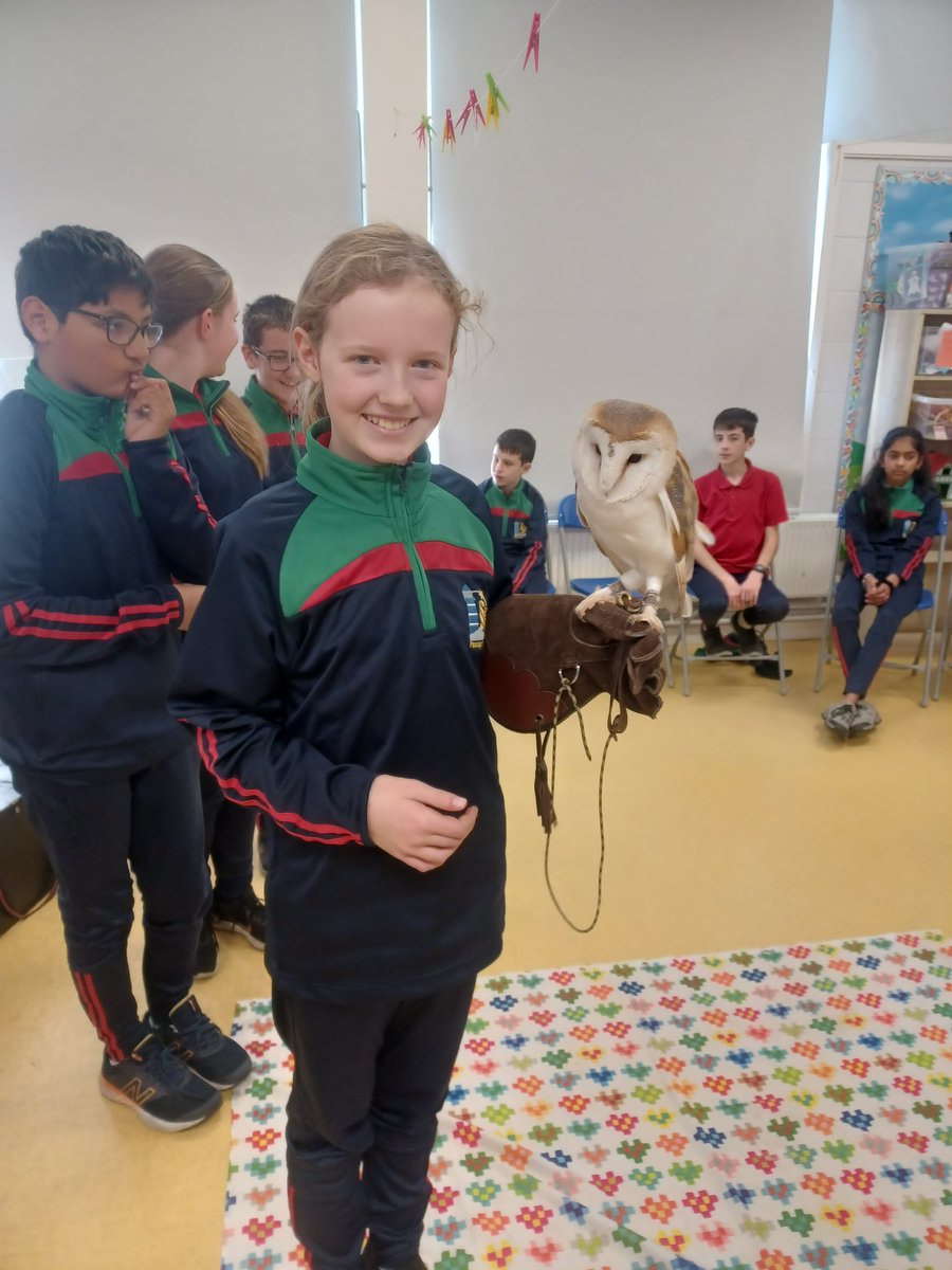 Star of the Sea Passage West tweet media