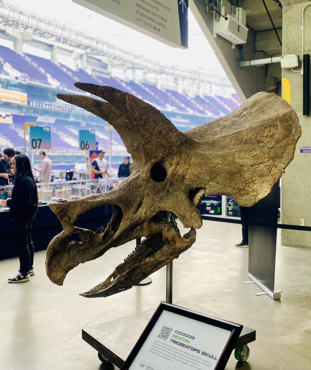 ChrisJourdan's tweet photo. Tomorrow on Coffee

☕️ Near instant sell-outs from @VinnieHager and @mcbess 👏

☕️ Is @instagram the launchpad we thought @Coinbase_NFT would be?

☕️ talking Triceratops skulls, NFTs &amp; more with @OnRallyRd 

Join us at 8am est 👇

https://t.co/qXOC9TobHt https://t.co/jjpoHtQ3vc