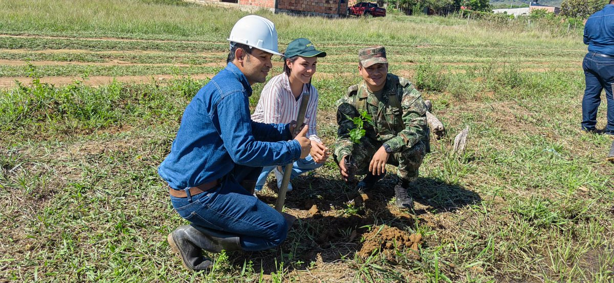 Ejercito_Div8's tweet photo. #Ahora | Comprometidos con el cuidado y preservación del medio ambiente, soldados del Batallón de Infantería N.°44 junto con #ASIG, #ASENTEC 2020 y la comunidad siembran más de mil árboles nativos en la vereda Atalayas, de Aguazul, #Casanare.

#CustodiosDelMedioAmbiente https://t.co/sp9DohcfyY