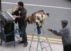 Se esta perdiendo el verdadero arte callejero.
Ya no hay artistas como los de antes.