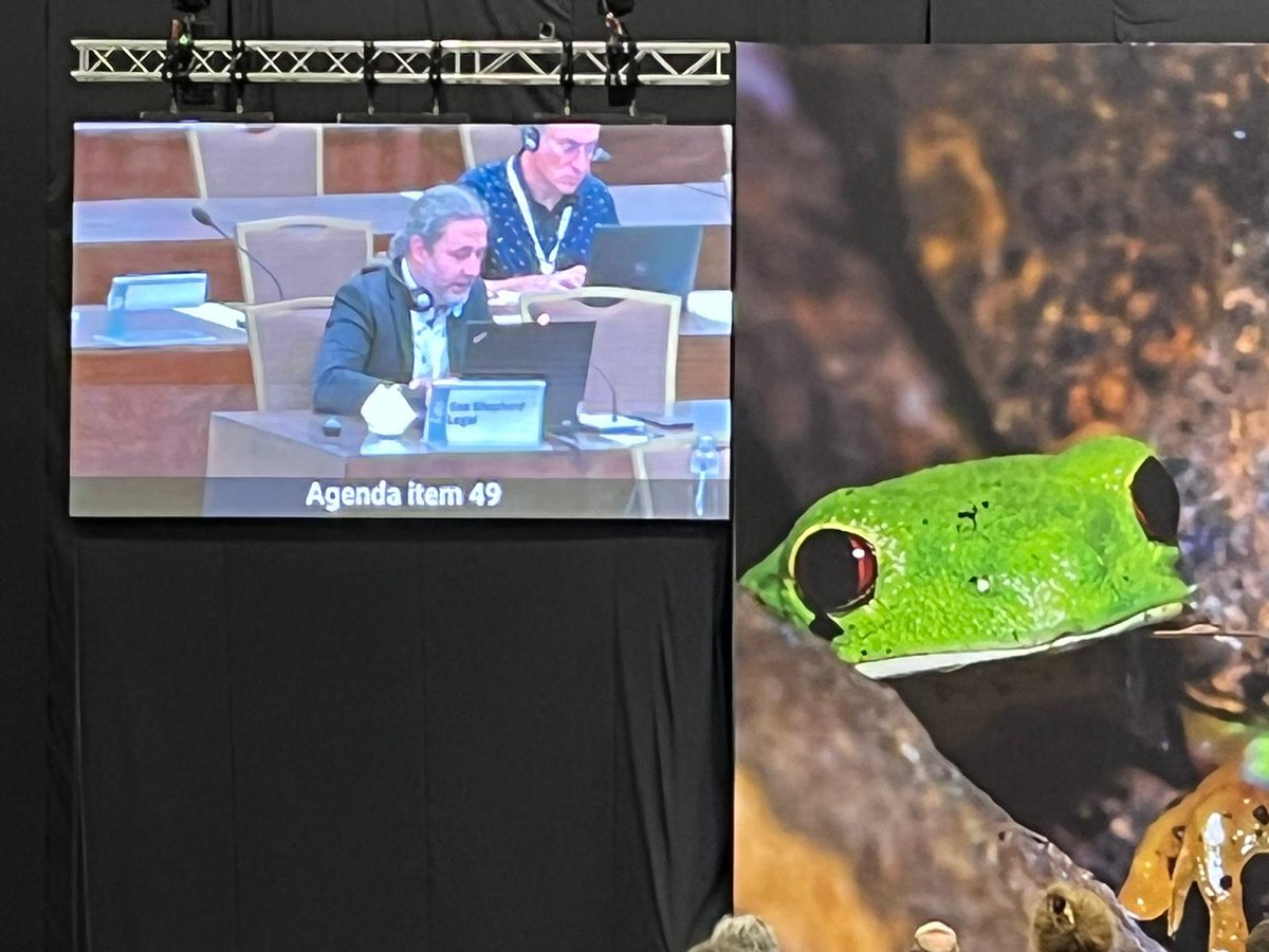 dkachelriess1's tweet photo. Very happy to deliver a statement on my favourite #CITES provision, introduction from the sea, on behalf of 12 NGOs during tonight's #CITESCoP19 Com II session. We welcome the mandate for @CITES Secretariat to be more proactive in assisting Parties to close implementation gap. https://t.co/KA7sXmobpA