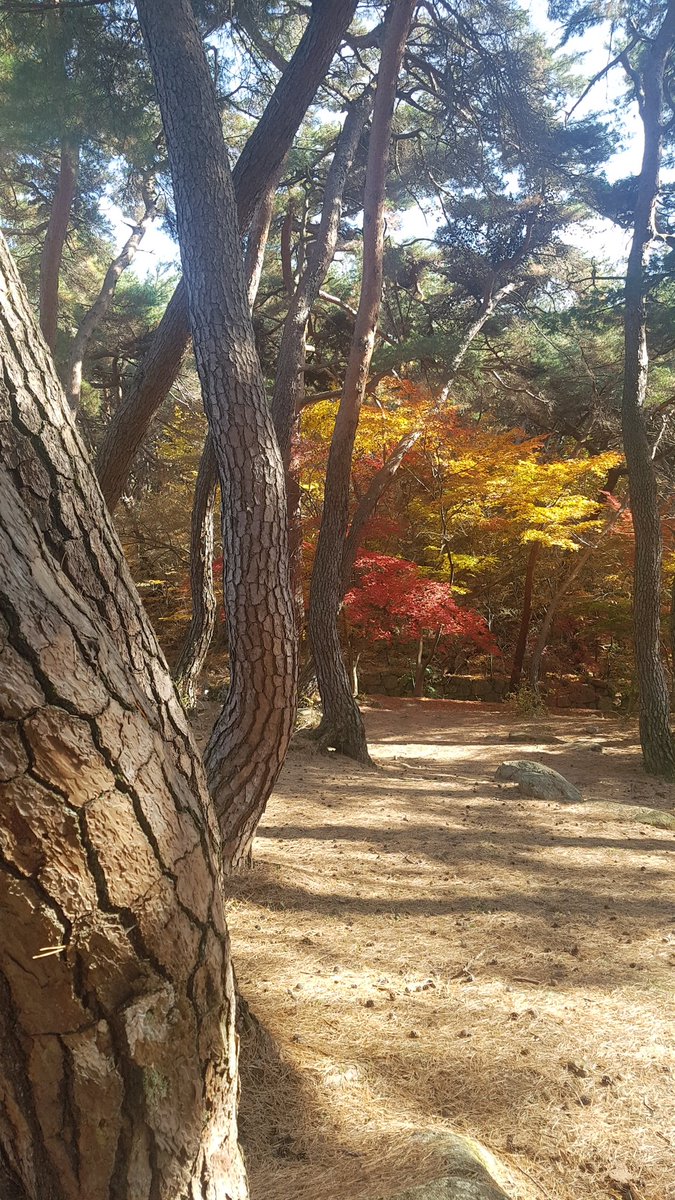 제베 tweet media