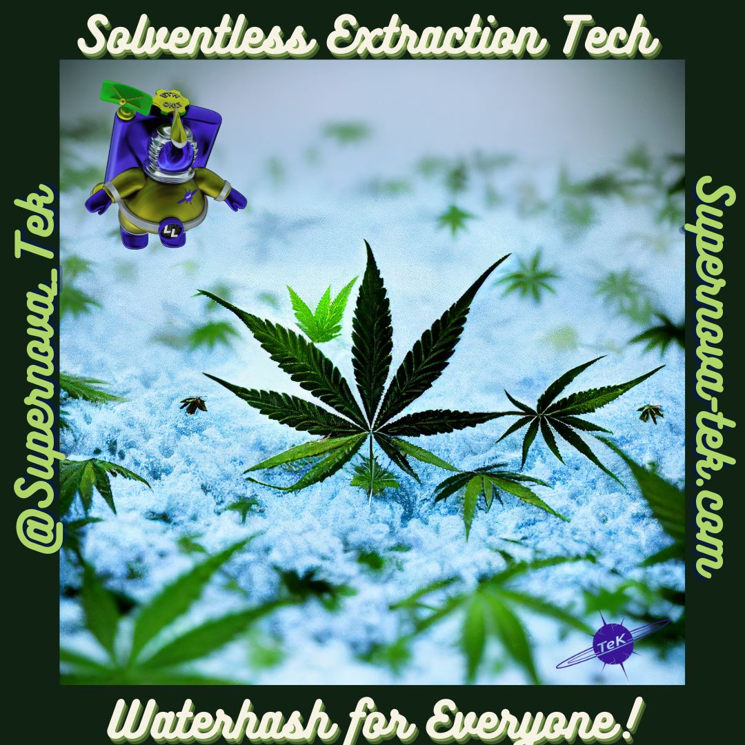 Supernova_TeK's tweet image. 🌬️Waterhash for Everyone!!!

#LFG

#NFT's #Waterhash #SupernovTek #Solventless #Cannabis