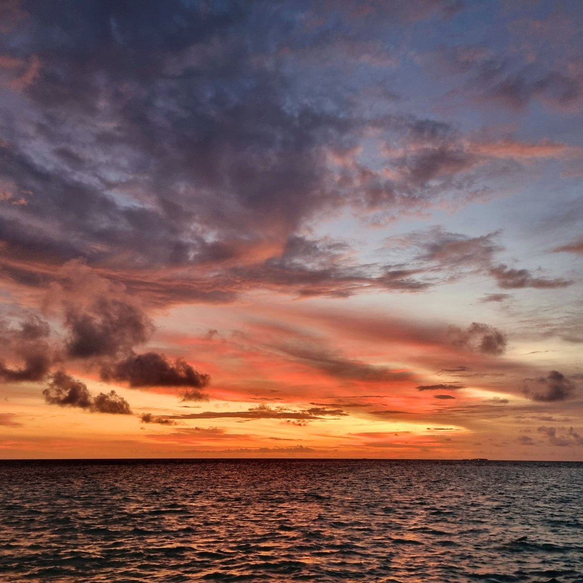 Dan Jones tweet media