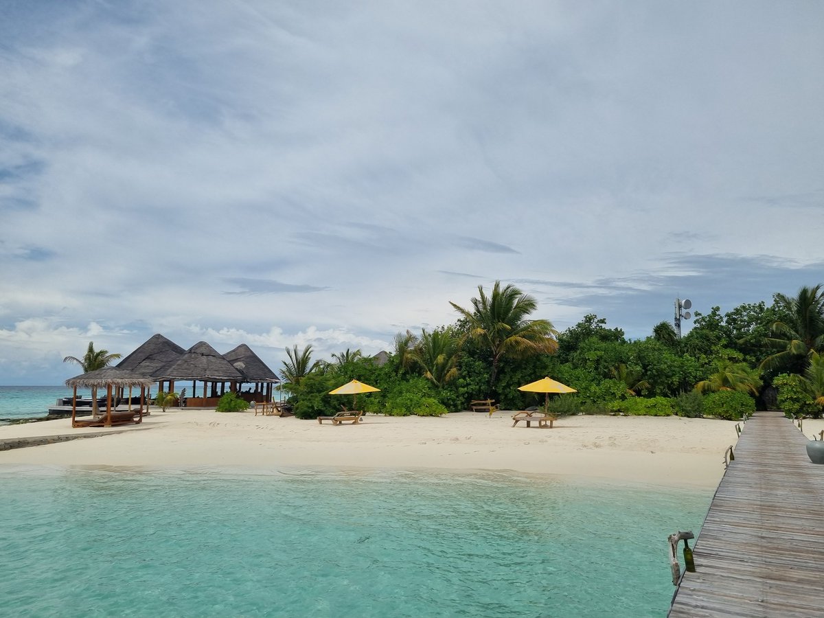 Dan Jones tweet media