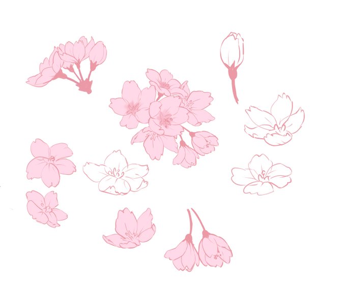 最終調整の段階なのに絵の手前側に来る桜の花一つずつ手描きしてる。これを複製して桜の花の塊を作る 