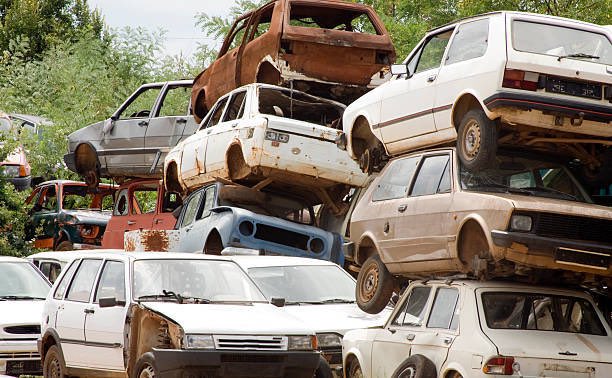 TBCrew™ tweet media