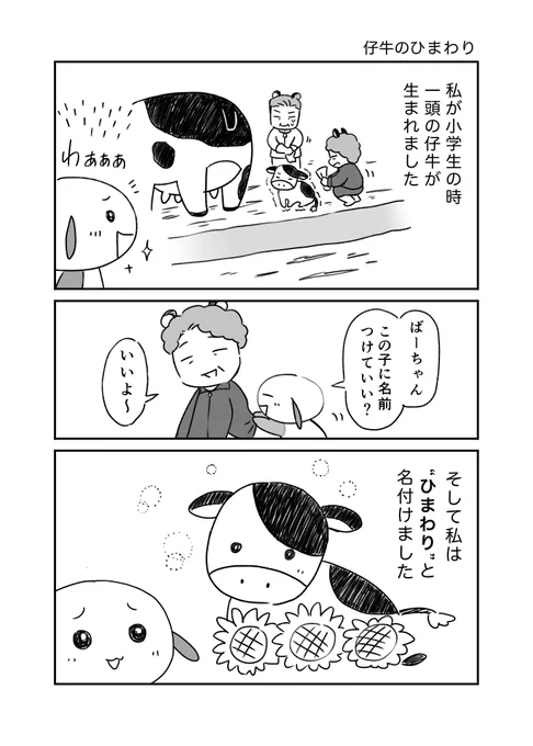 北海道ですごした子供時代の話
①仔牛のひまわり

コミティアで出す本のサンプルです!
#コミティア142 #COMITIA142 