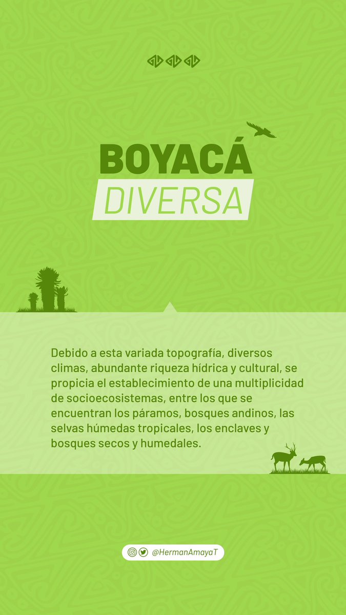 HermanAmayaT's tweet photo. ¿Ya conoces la diversidad de nuestro departamento? https://t.co/qq0WuaKABA