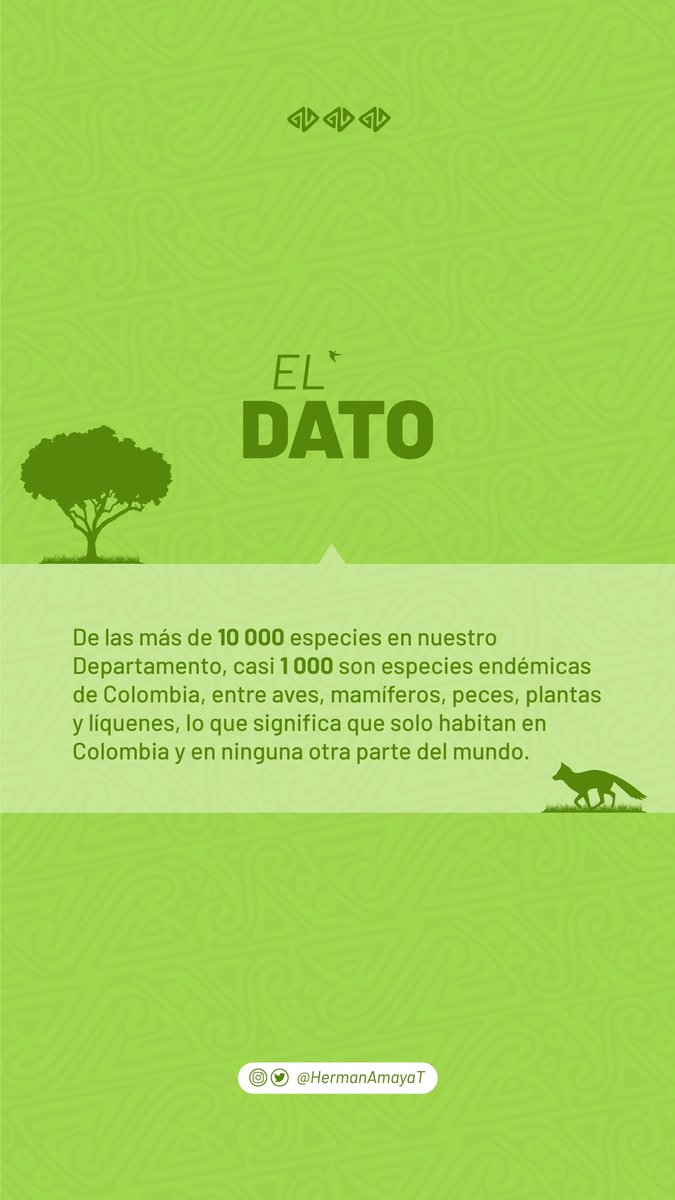 HermanAmayaT's tweet photo. ¿Ya conoces la diversidad de nuestro departamento? https://t.co/qq0WuaKABA