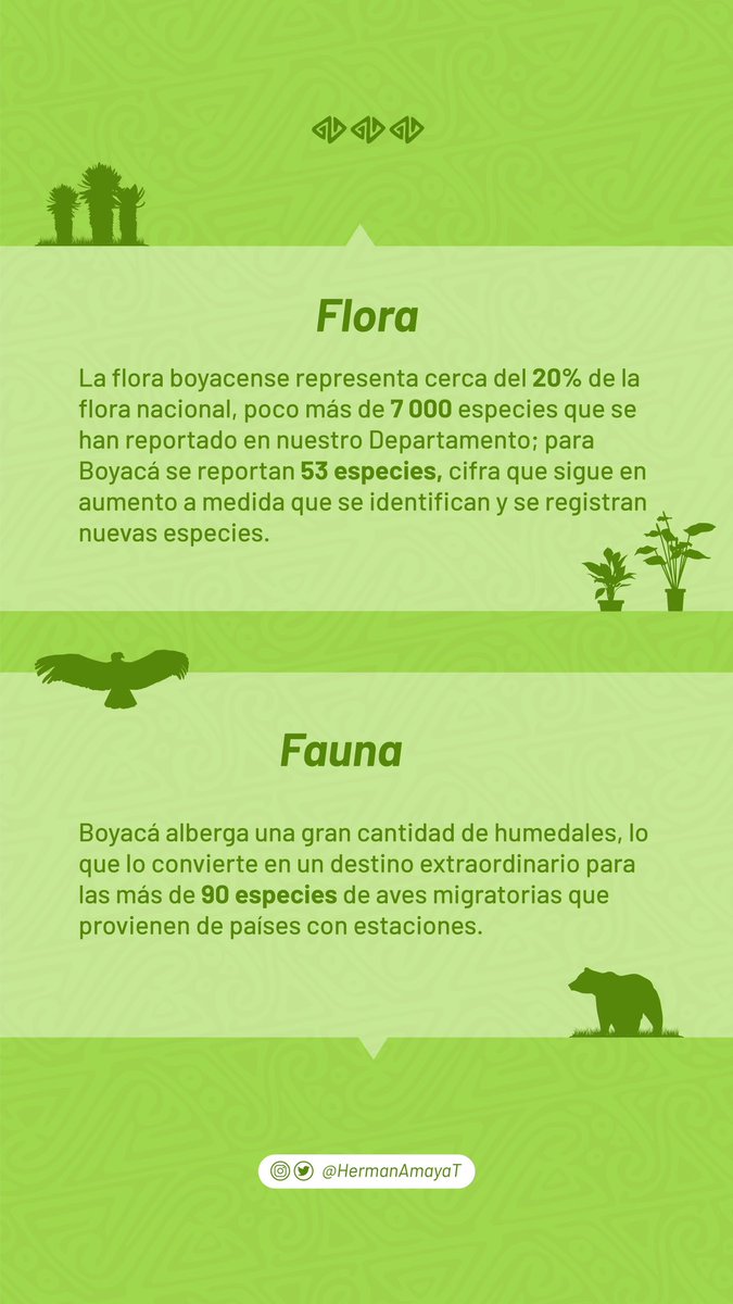 HermanAmayaT's tweet photo. ¿Ya conoces la diversidad de nuestro departamento? https://t.co/qq0WuaKABA