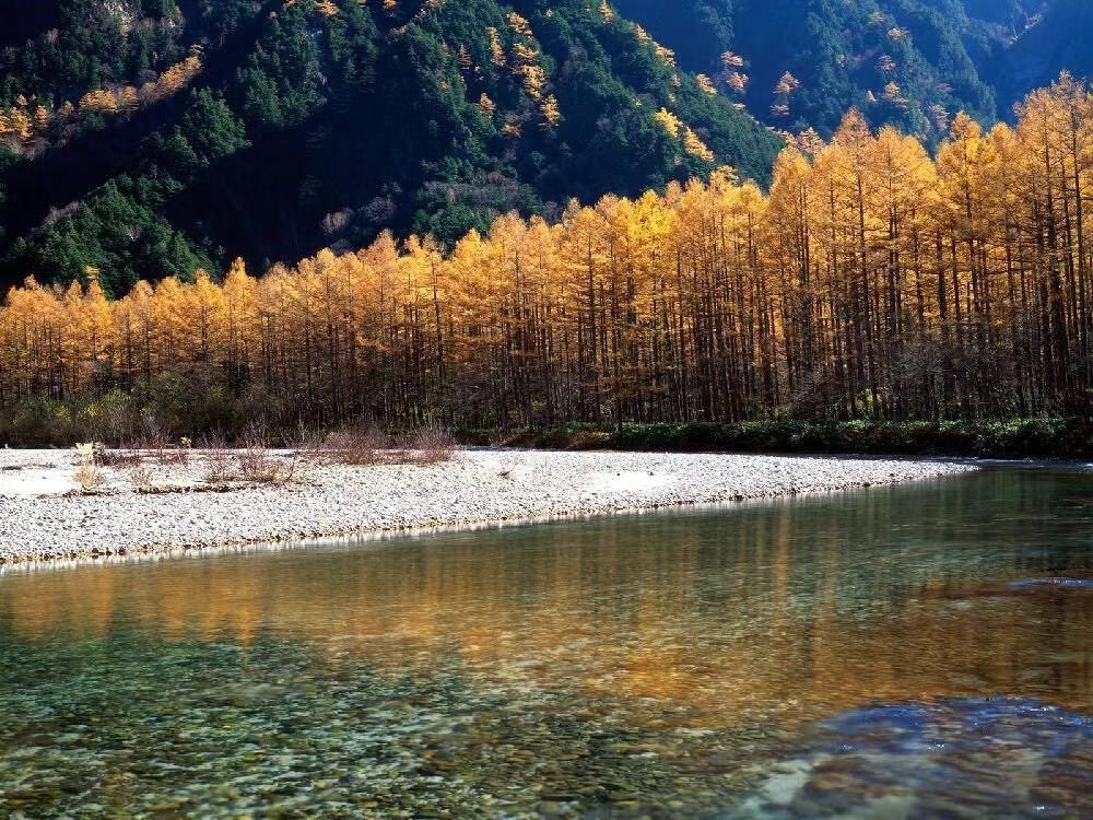 hikariatushi's tweet photo. 会いたいよ　

　　　　　　　　　　　その時から　

今まで

行ってきます🚶🏻🍁🍂🍂 https://t.co/8ZAxq2wQMX