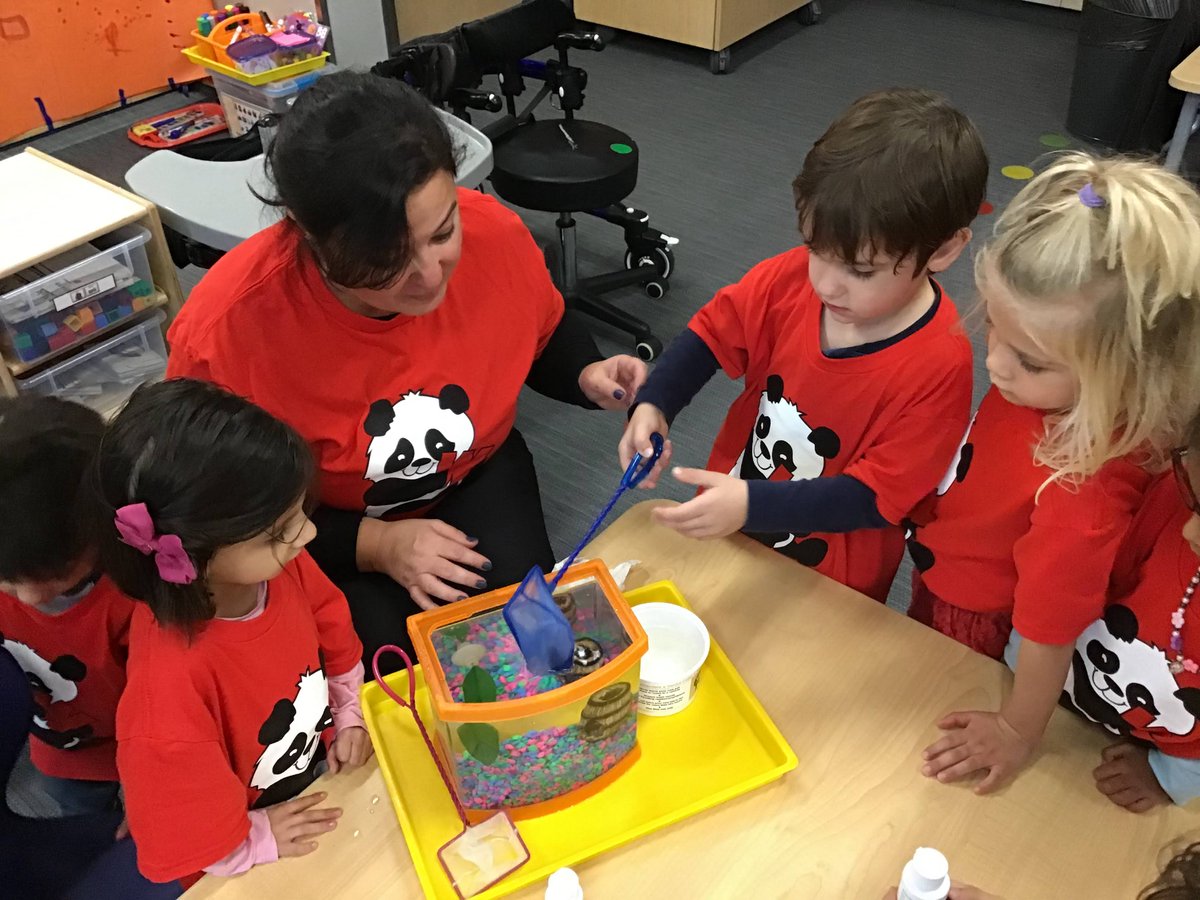 Guzin Kaptan tweet media