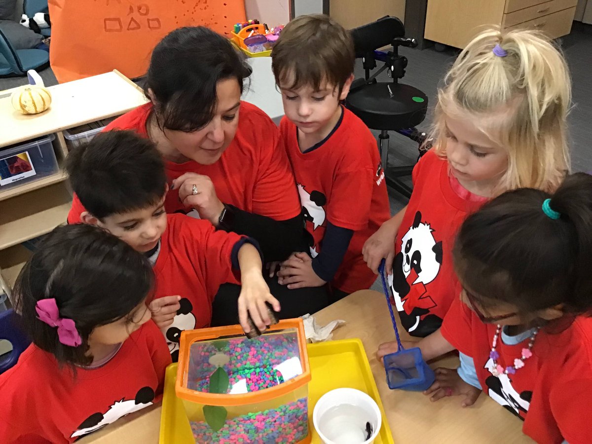 Guzin Kaptan tweet media