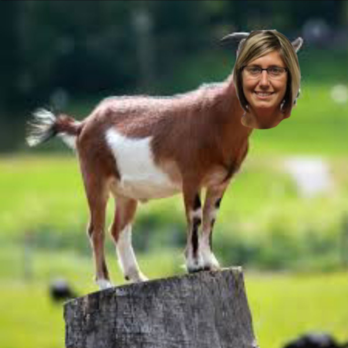 The Block hopes Amber enjoys retirement like we enjoyed watching her teams play… Bamber Out🐐 #GoatTalk #692 #WereNotCryingYouAre #QatarWorldCup2022