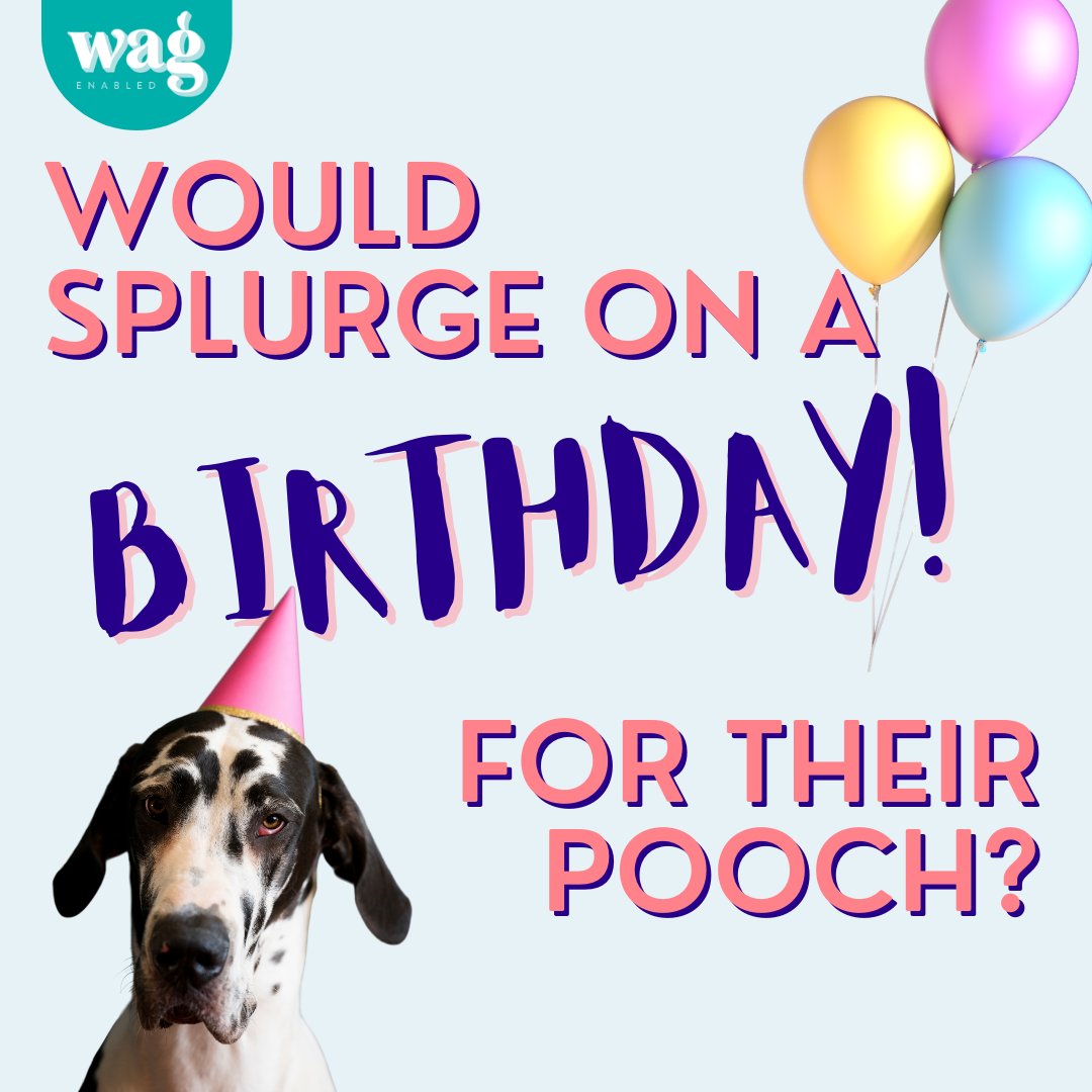 Wag Enabled tweet media