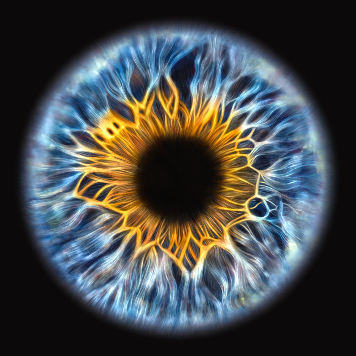 iRise_NFT's tweet photo. The only ones left in #Web3 are the true visionaries 👁✨ https://t.co/udPU1BvFqe