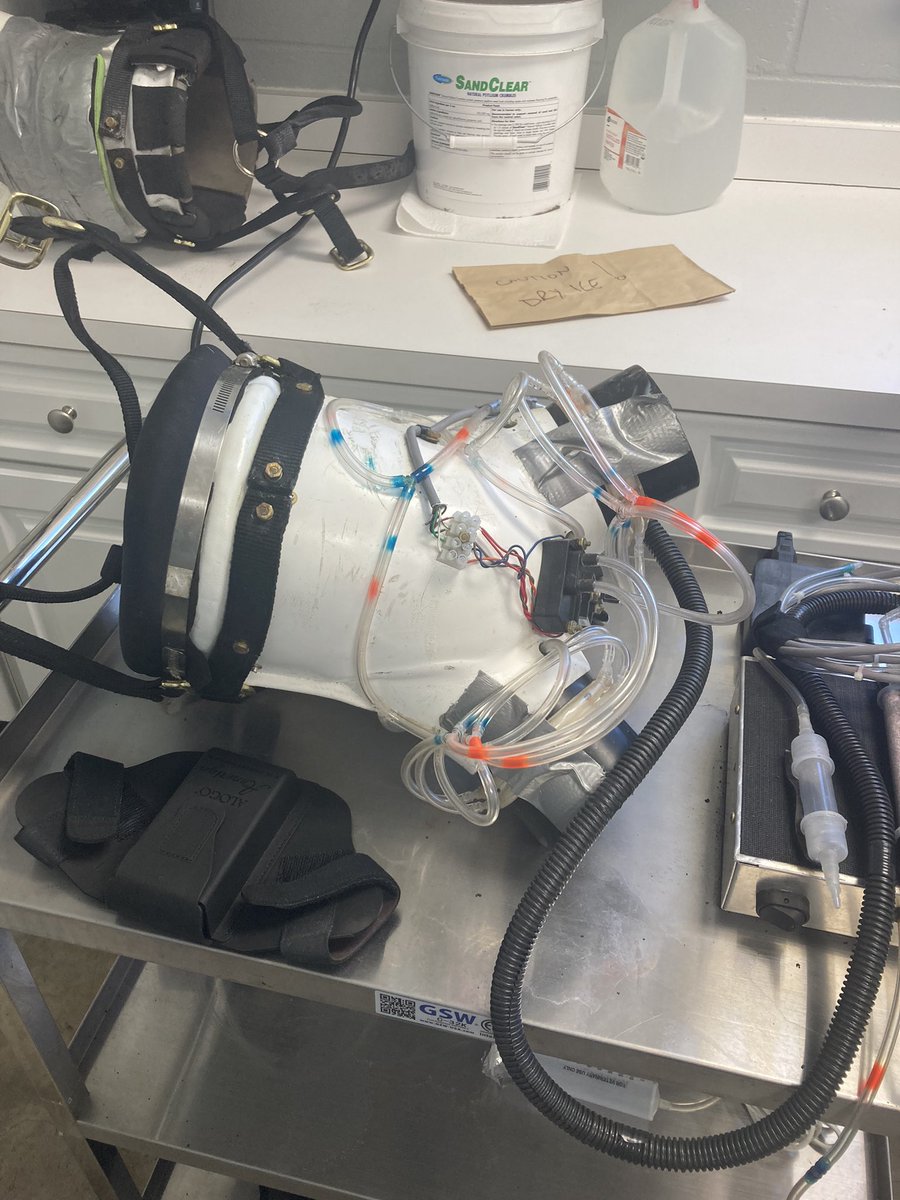 Nicola Gerrett tweet media