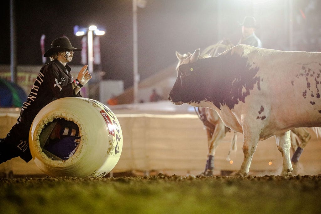 GWBullfighter13's tweet photo. Just @rider_kiesner and I having a business meeting!
#Godisgood #GW #RisingW
.
.
Photo: @desertdandyphotography https://t.co/dl6quElQvy