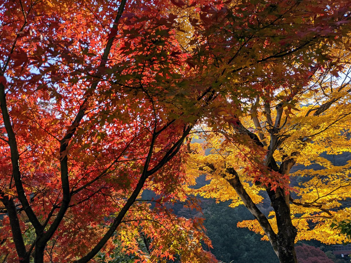 camelliakyoto's tweet photo. 🍁🌸THE PATH OF POETRY💘💔
Tucked away behind Kiyomizu-dera, Seikan-ji (清閑寺) is a rather unassuming temple that features prominently in 'The Tale of the Heike' (平家物語).
It was here that Kogō-no-Tsubone (小督局 1157-?) was forced to renounce the world (and Emperor Takakura). https://t.co/so503ZENla
