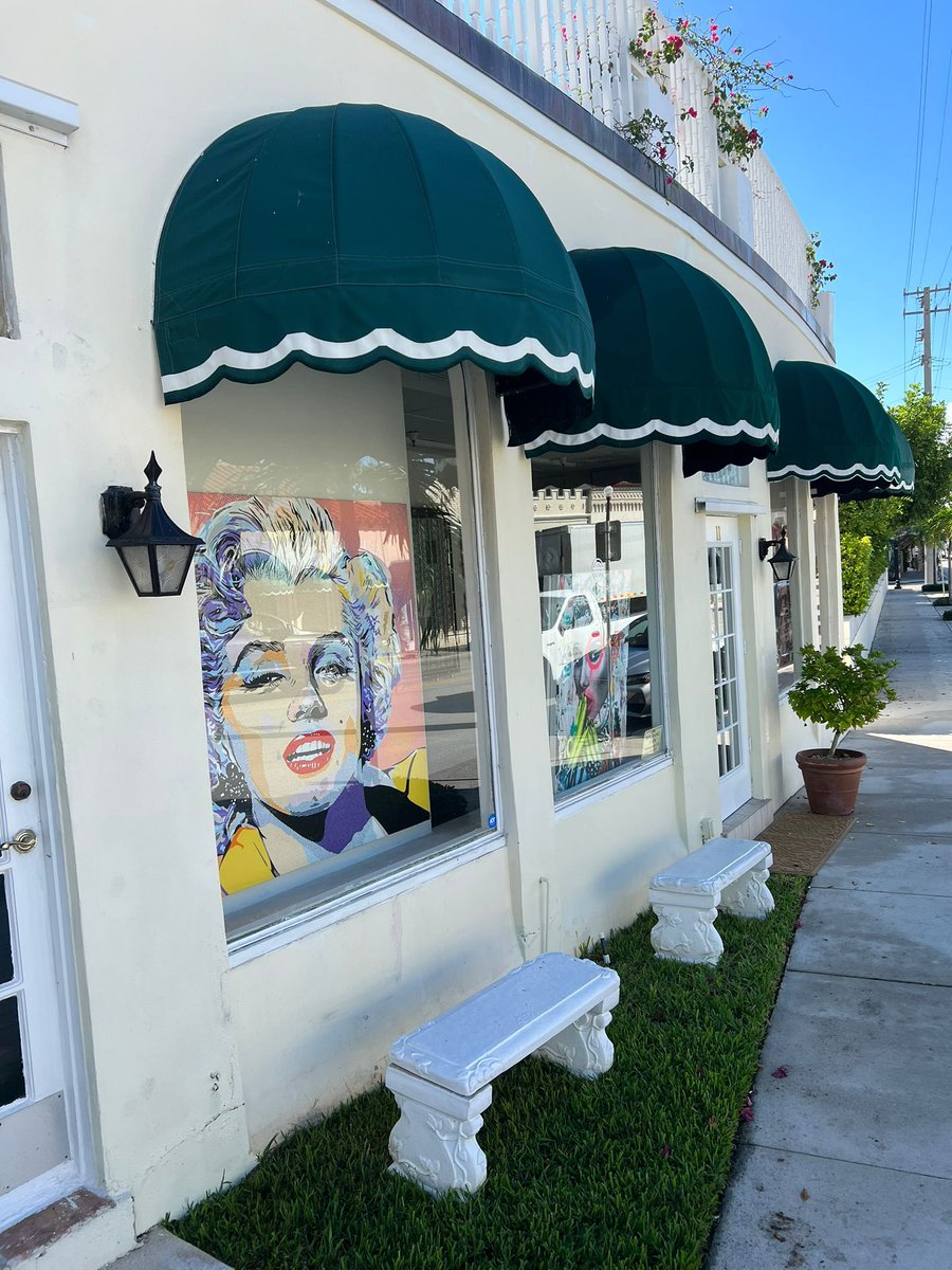 Oditto_io's tweet photo. Another beautiful day in Palm Beach 🏝☺️

Come visit our gallery today!! 

#nft #nfts #nftcommunity #web3 #NFTcollections #crypto #metaverse https://t.co/GSalBRUURr