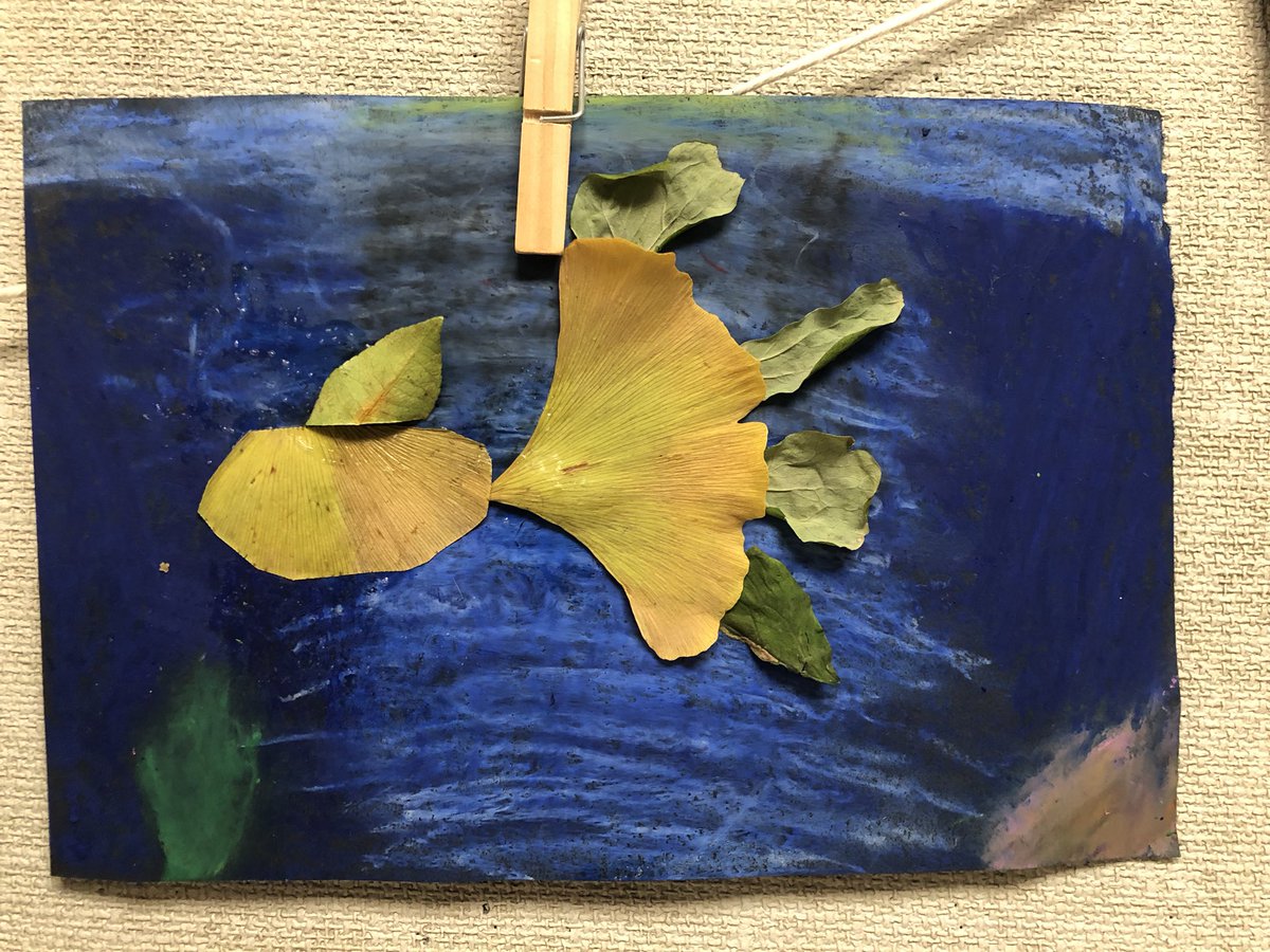 How stunning are these temperate rainforest animals made from leaves, sticks, and seeds that we found! <a href="/RidgewayElem/">Ridgeway Elem</a>