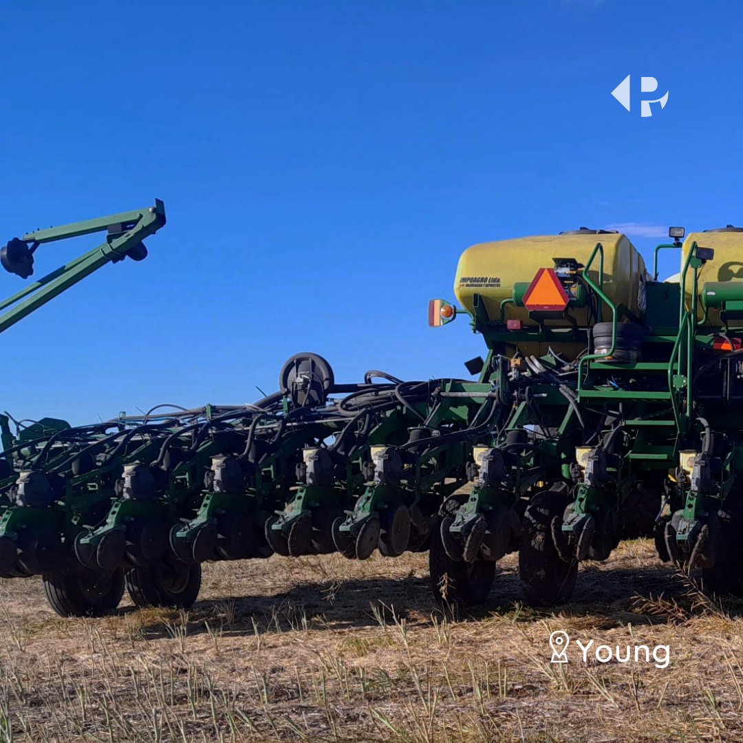 Compartimos imágenes 📸 de esta instalación de ensayo de fungicidas biológicos Trichosoil y Quality en el cultivo de 🌱soja para <a href="/lageycia/">Lage y Cía. S.A.</a>.

📝Evaluamos el efecto del tratamiento de semilla sobre la sanidad y rendimiento del cultivo. ¡Próximamente más ℹ️información!