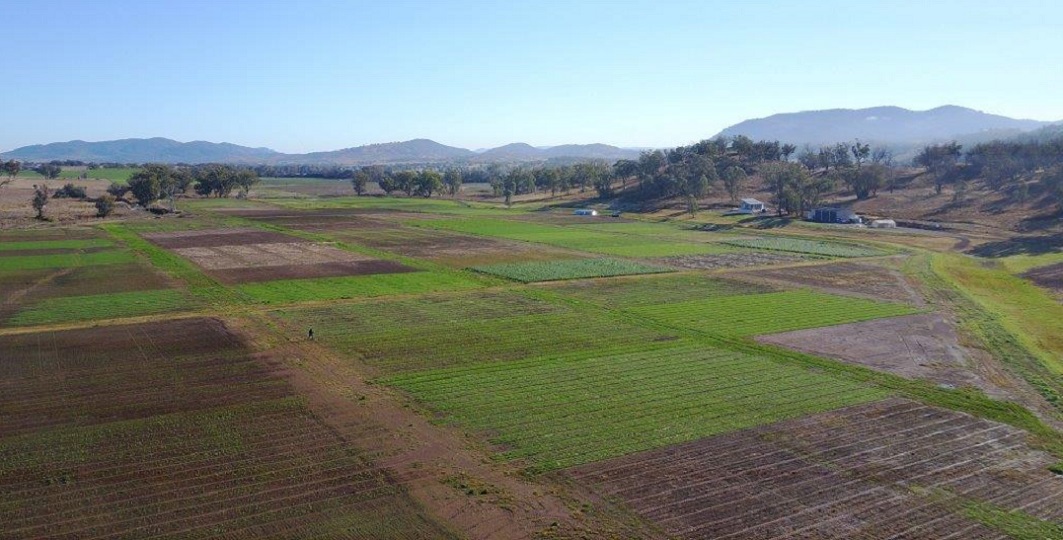 BASF Agricultural Solutions Australia tweet media
