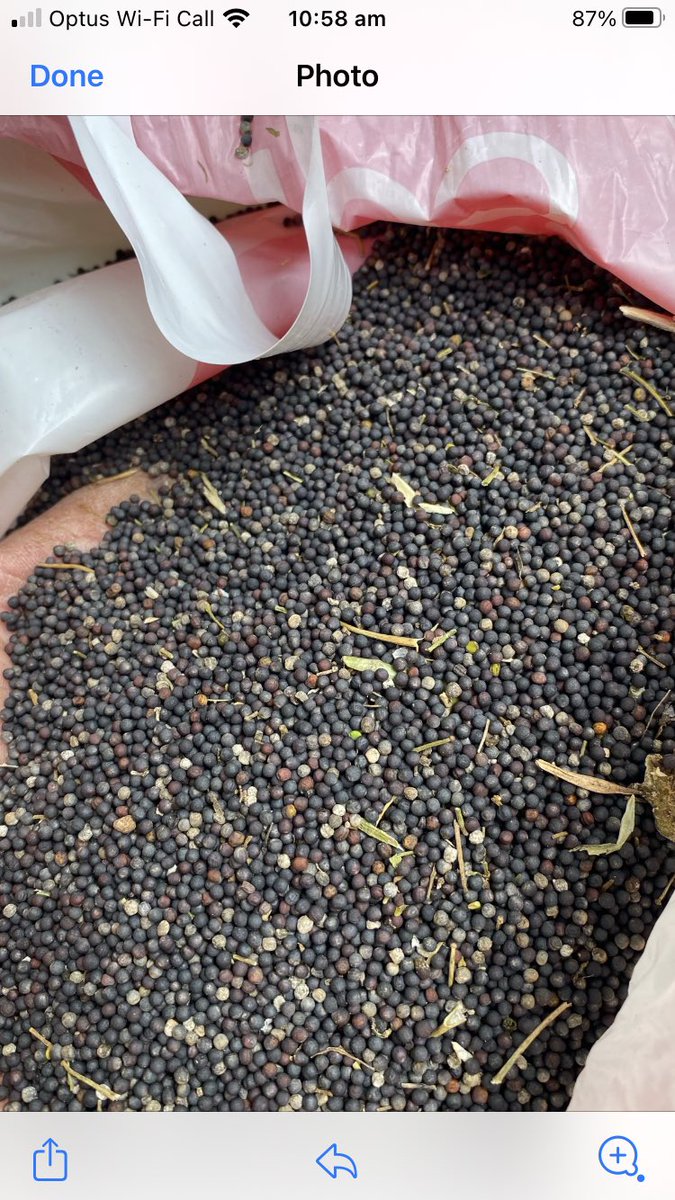 Australian Oilseeds Federation tweet media