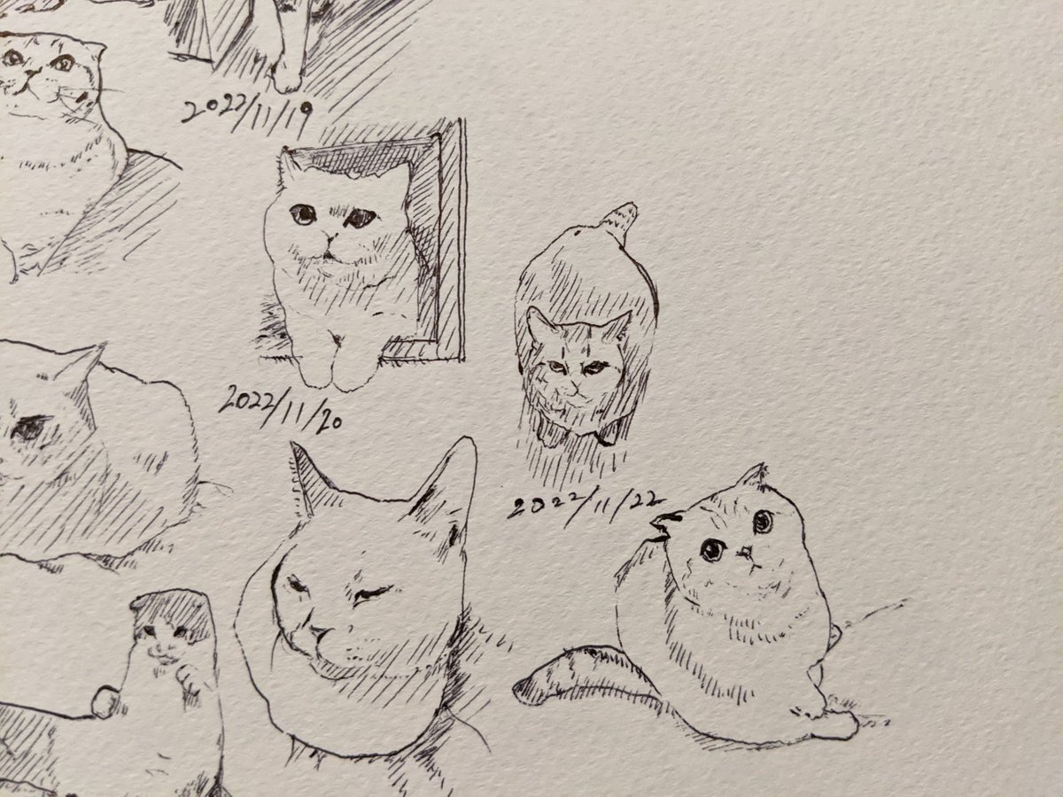 どうすれば得かよりどうすれば徳かを考える カキカキ。 