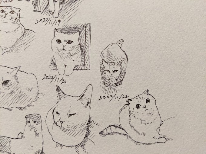 どうすれば得かよりどうすれば徳かを考える カキカキ。 