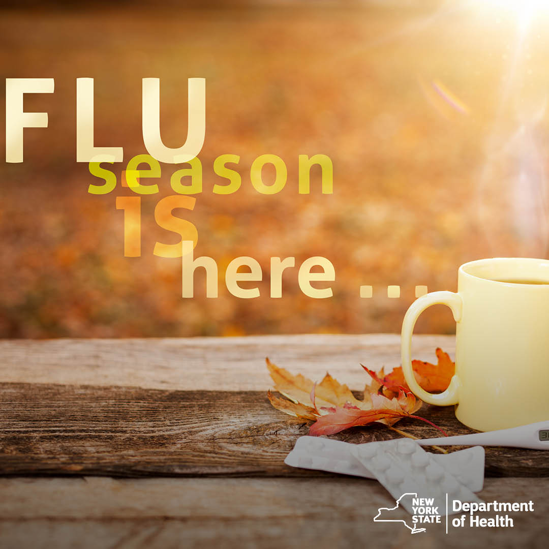 NYSDOH on Twitter "The flu attacks multiple organs, including your